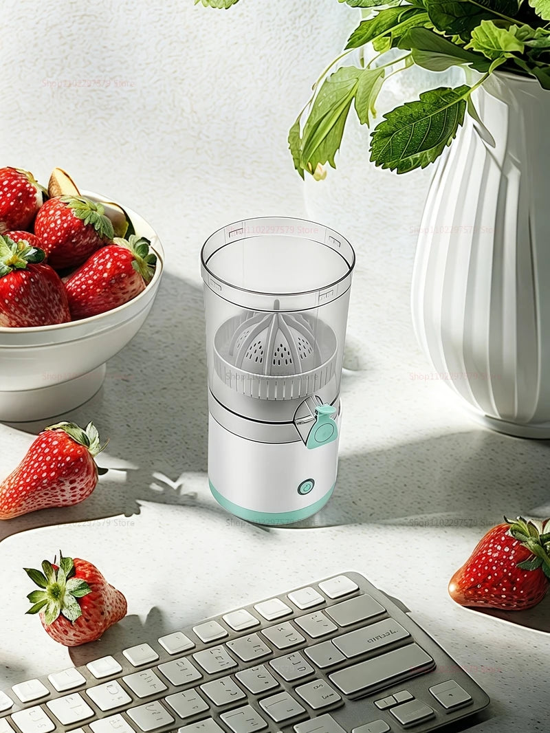 USB Rechargeable Fruit Blender