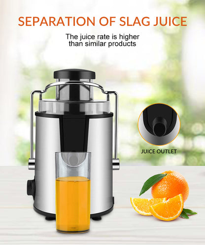Dual-Speed Household Juice Extractor