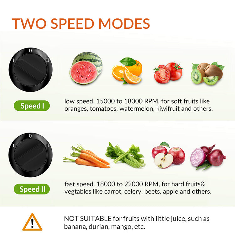 Dual-Speed Household Juice Extractor