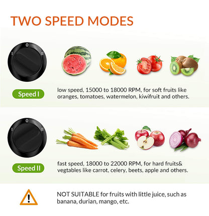 Dual-Speed Household Juice Extractor