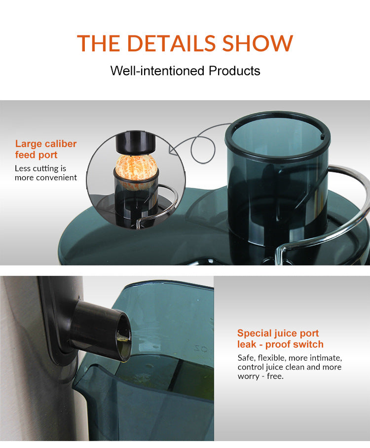 Dual-Speed Household Juice Extractor